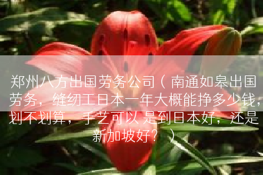 郑州八方出国劳务公司（南通如皋出国劳务，缝纫工日本一年大概能挣多少钱，划不划算，手艺可以 是到日本好，还是新加坡好？）