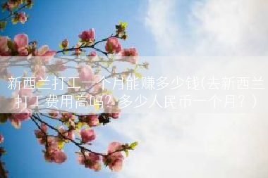 新西兰打工一个月能赚多少钱(去新西兰打工费用高吗？多少人民币一个月？)