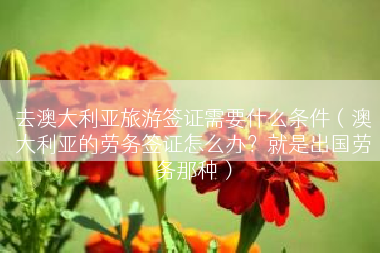 去澳大利亚旅游签证需要什么条件（澳大利亚的劳务签证怎么办？就是出国劳务那种）