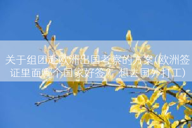 关于组团赴欧洲出国考察的方案(欧洲签证里面哪个国家好签？ 想去国外打工)