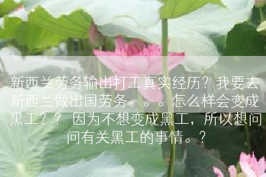 新西兰劳务输出打工真实经历？我要去新西兰做出国劳务。。。怎么样会变成黑工？？ 因为不想变成黑工，所以想问问有关黑工的事情。？