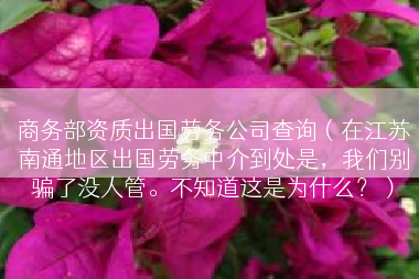 商务部资质出国劳务公司查询（在江苏南通地区出国劳务中介到处是，我们别骗了没人管。不知道这是为什么？）