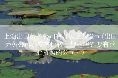 上海出国劳务公司有几家正规公司(出国劳务公司泰安有比较正规的吗？要有营业执照的公司？)