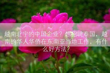 越南北宁的中国企业？想招聘泰国，越南的华人华侨在东南亚当地工作，有什么好方法？
