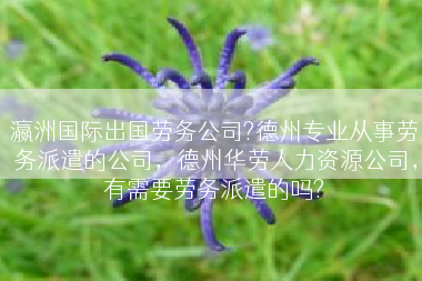 瀛洲国际出国劳务公司?德州专业从事劳务派遣的公司，德州华劳人力资源公司，有需要劳务派遣的吗?