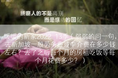 暖暖的新家2022苐13季（弱弱的问一句，去新加坡一般劳务费或中介费在多少钱左右？去了之后每个月的房租吃饭等每个月花费多少？）