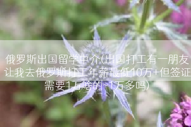 俄罗斯出国留学中介(出国打工有一朋友让我去俄罗斯打工年薪最低10万+但签证需要1万啥的~1万多吗)
