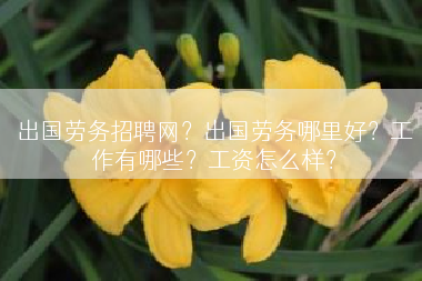 出国劳务招聘网？出国劳务哪里好？工作有哪些？工资怎么样？