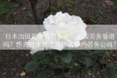 日本出国劳务费用多少？出国劳务靠谱吗？想去日本应该找什么样的劳务公司？