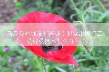 马云我对钱没有兴趣（想要出国打工，没钱没技术怎么办？）