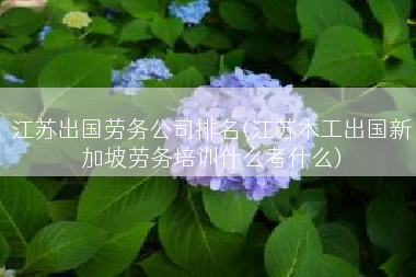 江苏出国劳务公司排名(江苏木工出国新加坡劳务培训什么考什么)