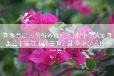 新西兰出国劳务签证的类别?中国人到新西兰干建筑工能去吗？能拿多少人民币一天?