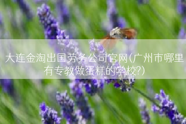 大连金淘出国劳务公司官网(广州市哪里有专教做蛋糕的学校?)