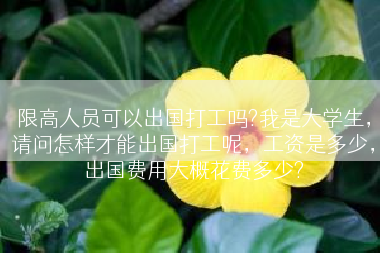限高人员可以出国打工吗?我是大学生，请问怎样才能出国打工呢，工资是多少，出国费用大概花费多少?