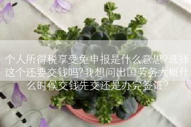 个人所得税享受免申报是什么意思?选择这个还要交钱吗?我想问出国劳务大概什么时候交钱先交还是办完签证?