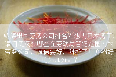 威海出国劳务公司排名？想去日本务工，请问武汉有哪些在劳动局管辖范围内的劳务公司，诚信要好，拜托了！介绍好的另加分。？