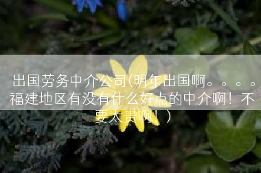 出国劳务中介公司(明年出国啊。。。。福建地区有没有什么好点的中介啊！不要太贵啊！)