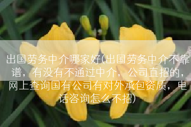 出国劳务中介哪家好(出国劳务中介不靠谱，有没有不通过中介，公司直招的，网上查询国有公司有对外承包资质，电话咨询怎么不招)