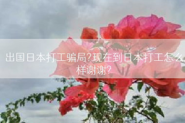 出国日本打工骗局?现在到日本打工怎么样谢谢?