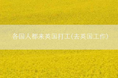 各国人都来英国打工(去英国工作)