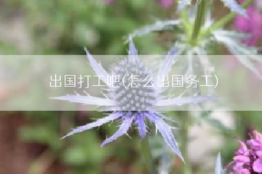 出国打工吧(怎么出国务工)