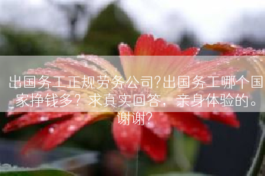 出国务工正规劳务公司?出国务工哪个国家挣钱多？求真实回答，亲身体验的。谢谢?