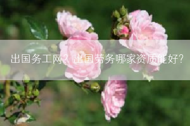 出国务工网？出国劳务哪家资质能好？