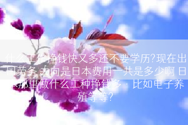 什么工作挣钱快又多还不要学历?现在出国劳务 去向是日本费用一共是多少啊 日本那里做什么工种挣钱多·比如电子养殖等等?