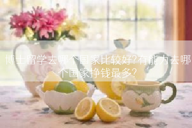 博士留学去哪个国家比较好?有能力去哪个国家挣钱最多?