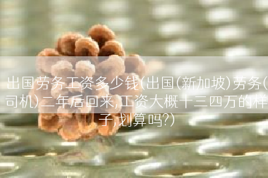 出国劳务工资多少钱(出国(新加坡)劳务(司机)二年后回来,工资大概十三四万的样子,划算吗?)