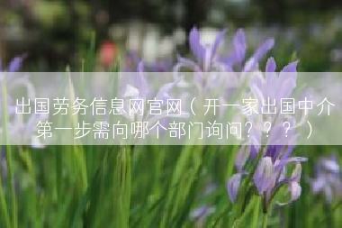 出国劳务信息网官网（开一家出国中介第一步需向哪个部门询问？？？）
