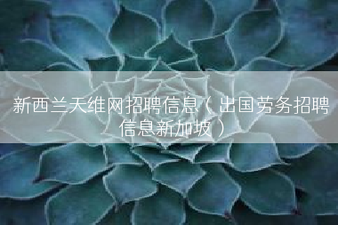 新西兰天维网招聘信息（出国劳务招聘信息新加坡）