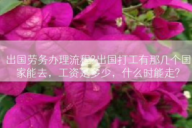 出国劳务办理流程?出国打工有那几个国家能去，工资是多少，什么时能走?