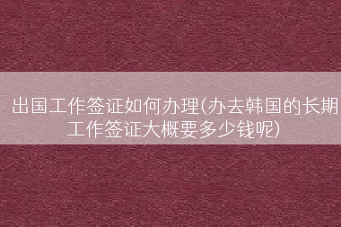 出国工作签证如何办理(办去韩国的长期工作签证大概要多少钱呢)