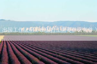 出国工作证明（出国打工需要什么条件）