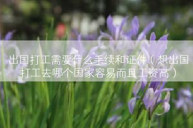 出国打工需要什么手续和证件（想出国打工去哪个国家容易而且工资高）