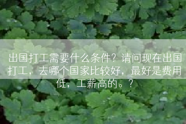 出国打工需要什么条件？请问现在出国打工，去哪个国家比较好，最好是费用低，工薪高的。？