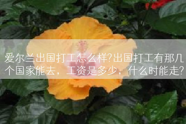 爱尔兰出国打工怎么样?出国打工有那几个国家能去，工资是多少，什么时能走?