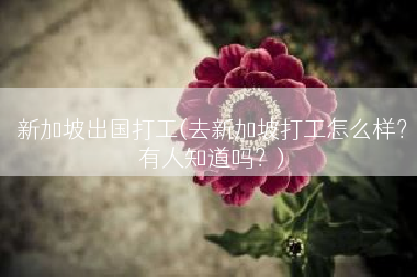 新加坡出国打工(去新加坡打工怎么样？有人知道吗？)