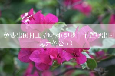 免费出国打工招聘网(想找一个正规出国劳务公司)