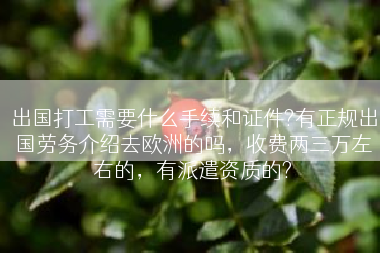 出国打工需要什么手续和证件?有正规出国劳务介绍去欧洲的吗，收费两三万左右的，有派遣资质的?