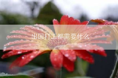 出国打工都需要什么