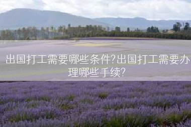 出国打工需要哪些条件?出国打工需要办理哪些手续?