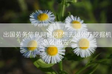出国劳务信息网官网?想去国外开挖掘机怎么 出去?