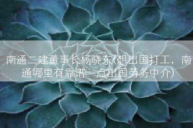 南通二建董事长杨晓东(想出国打工，南通哪里有靠谱一点出国劳务中介)