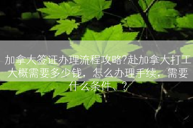 加拿大签证办理流程攻略?赴加拿大打工大概需要多少钱，怎么办理手续，需要什么条件、?