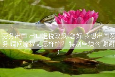 劳务出国 出口退税政策(您好 我想出国劳务 请问流程是怎样的？ 特别麻烦么 谢谢)