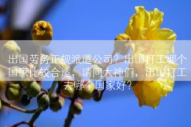 出国劳务正规派遣公司？出国打工哪个国家比较合适，请问大神们，出国打工去哪个国家好？