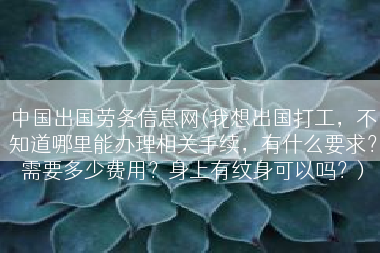 中国出国劳务信息网(我想出国打工，不知道哪里能办理相关手续，有什么要求？需要多少费用？身上有纹身可以吗？)