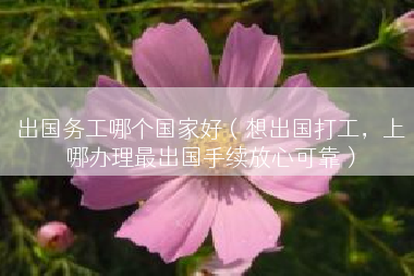 出国务工哪个国家好（想出国打工，上哪办理最出国手续放心可靠）